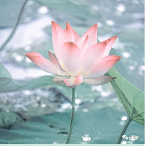 定了！今年居民醫(yī)保繳費標準每人每年350元！